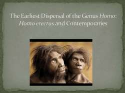 H. erectus - HCC Learning Web