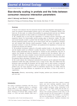 Sizedensity scaling in protists and the links