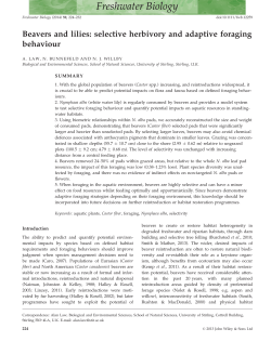 Beavers and lilies: selective herbivory and adaptive foraging