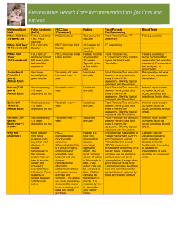Preventative Health Care Recommendations for Cats and Kittens