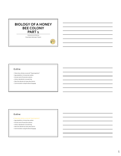 Honey Bee Biology Part 1 - Texas Master Beekeeper Program