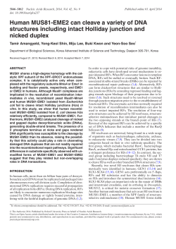 Human MUS81-EME2 can cleave a variety of DNA structures