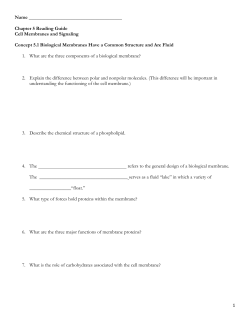 Chapter 5 Reading Guide - Gulfport School District