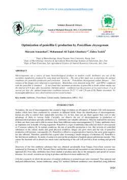 Optimization of penicillin G production by Penicillium chrysogenum