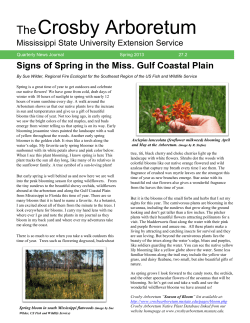 Spring - Crosby Arboretum - Mississippi State University