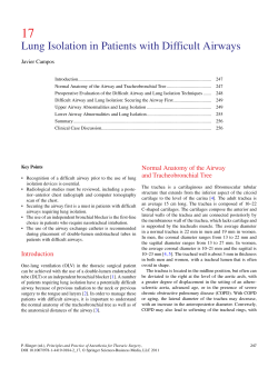Lung Isolation in Patients with Difficult Airways