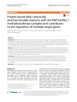 Protein kinase Msk1 physically and functionally interacts with the