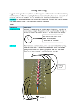 the PDF file