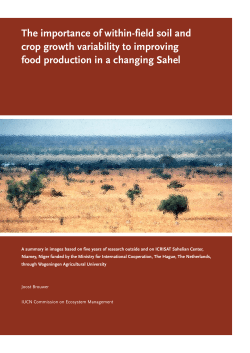 The Importance of Within-Field Soil and Crop Growth