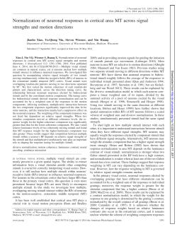 Normalization of neuronal responses in cortical area MT across