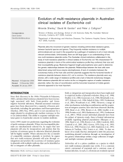 Evolution of multi-resistance plasmids in Australian clinical isolates