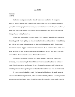 Lap Rabbit Margaux 10/20/15 He looked so elegant, seemed so