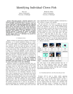 Identifying Individual Clown Fish