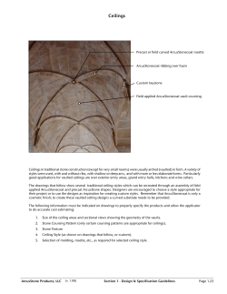 Ceilings - ArcusStone Distributors