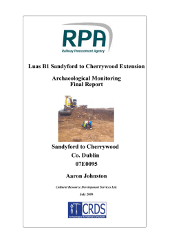Archaeological Monitoring Report - Transport Infrastructure Ireland