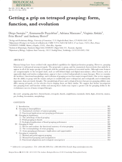 Getting a grip on tetrapod grasping: form, function