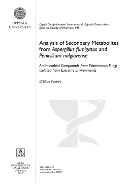 Analysis of Secondary Metabolites from Aspergillus