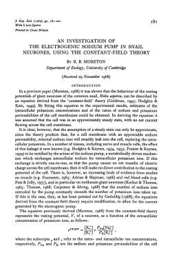 an investigation of the electrogenic sodium pump in snail neurones