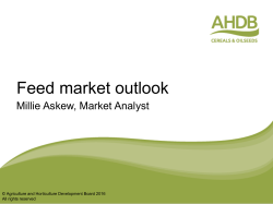 Feed market outlook