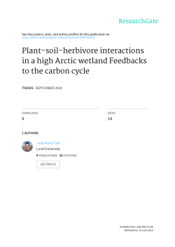 Plant-soil-herbivore interactions in a high Arctic wetland Feedbacks