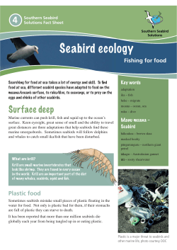 Seabird ecology: fishing for food