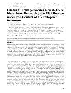 Fitness of Transgenic Anopheles stephensi Mosquitoes Expressing