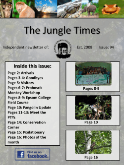 Jungle times February 2017