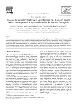 Drosophila regulatory factor X is an embryonic type I sensory neuron
