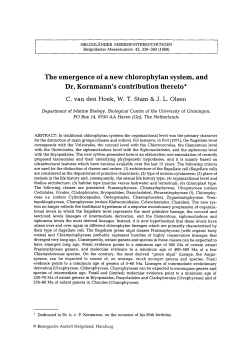 The emergence of a new chlorophytan system, and Dr