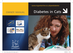 Diabetes in Cats