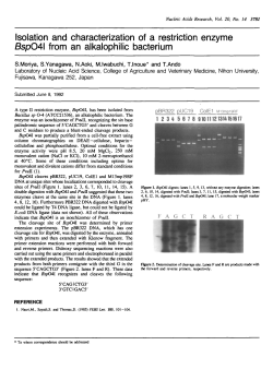 Isolation and characterization of a restriction enzyme BspO4\ from