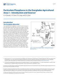 Particulate Phosphorus in the Everglades Agricultural Area