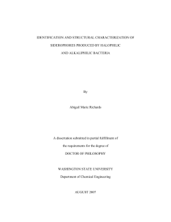 IDENTIFICATION AND STRUCTURAL