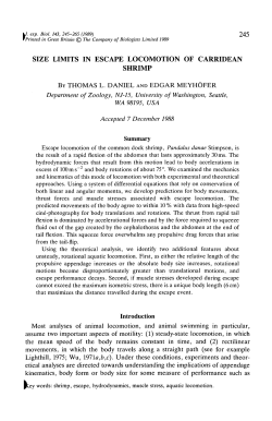 SIZE LIMITS IN ESCAPE LOCOMOTION OF CARRIDEAN SHRIMP