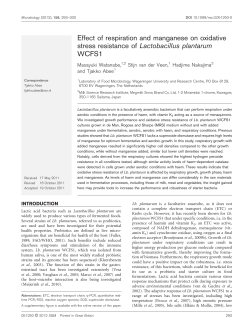 Effect of respiration and manganese on oxidative stress resistance