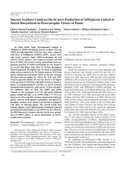 Sucrose Synthase Catalyzes the de novo Production of ADPglucose