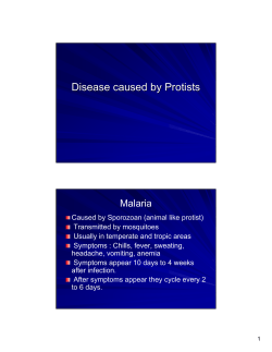 Disease caused by Protists