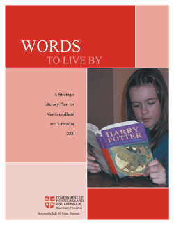 Strategic Literacy Plan - Department of Advanced Education and Skills