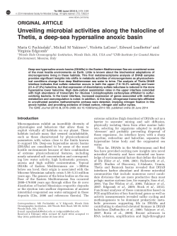 Unveiling microbial activities along the halocline of Thetis, a