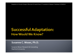 Successful Adaptation: How Would We Know?