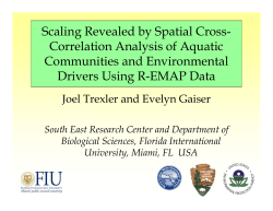 Scaling Revealed by Spatial Cross- Correlation Analysis of Aquatic