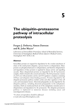 The ubiquitin-proteasome pathway of intracellular proteo