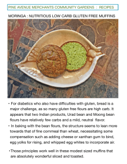 RECIPE - MORINGA CHEDDAR MUFFINS