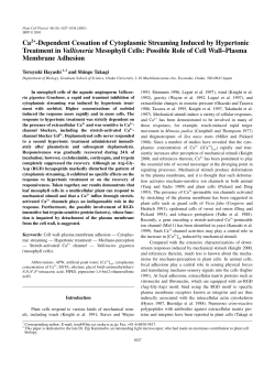 Ca2+-Dependent Cessation of Cytoplasmic Streaming Induced by