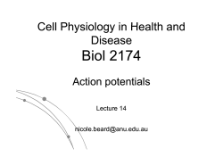 Biol 2174