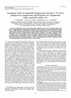 Streptococcus dysgalactiae - International Journal of Systematic and