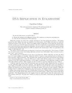 DNA Replication in Eukaryotes
