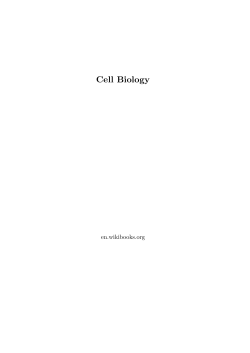 Cell Biology - Wikimedia Commons