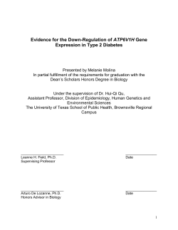 MelanieMolina_Thesis - The University of Texas at Austin