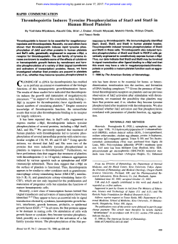 Thrombopoietin Induces Tyrosine Phosphorylation